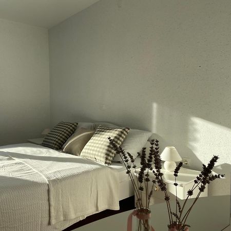 Beautiful House Surrounded By Pure Nature Rogasovci ภายนอก รูปภาพ